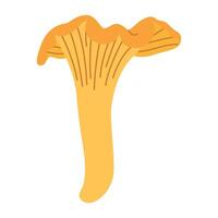 Chanterelle illustration. Edible chanterelle mushrooms. Yellow mushroom. Hand drawn trendy flat style. Doodle autumn forest harvest vector
