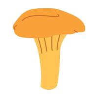 Chanterelle illustration. Edible chanterelle mushrooms. Yellow mushroom. Hand drawn trendy flat style. Doodle autumn forest harvest vector