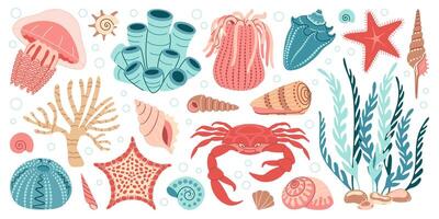 Hand drawn cartoon sea life elements set. Aquatic animals, anemones, crab, algae, shells, starfish, coral reef plants. Trendy flat doodle set underwater ecosystem for your design vector