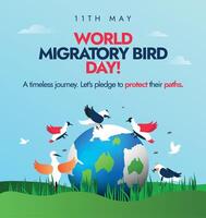 mundo migratorio pájaro día. 11 mayo 2024 mundo migratorio pájaro día celebracion, conciencia bandera con tierra globo y aves alrededor él. el conservación tema esta año es proteger insectos, proteger aves. vector