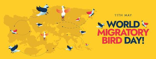 World Migratory Bird day. 11th May World Migratory Bird Day celebration cover banner, post with silhouette world map and birds with dotted lines. Migration Birds conservation Awareness banner. vector