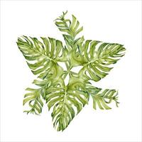 Green tropical leaves watercolor composition. Monstera and banana plant hand drawn branches isolated on white background. Botanical illustration for cards, invitations, prints and floral designs vector