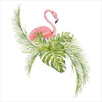 Pink flamingo bird with banana and palm tree branches with monstera leaves watercolor composition. Hand drawn illustration isolated on white background. For tropical cards, beach patterns and prints vector
