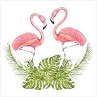 Two flamingo birds with banana and palm tree branches with monstera leaves watercolor composition. Hand drawn illustration isolated on white background. For tropical cards, beach designs and prints vector