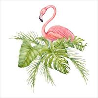 Pink flamingo bird with banana and palm tree branches with monstera leaves watercolor composition. Hand drawn illustration isolated on white background. For tropical cards and beach holiday patterns vector