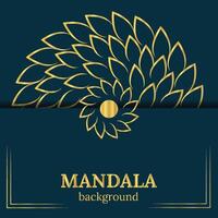 luxurious golden and blue mandala design template vector