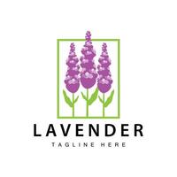 lavanda logo sencillo diseño cosmético planta púrpura color y aromaterapia lavanda flor jardín modelo vector