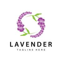 lavanda logo sencillo diseño cosmético planta púrpura color y aromaterapia lavanda flor jardín modelo vector