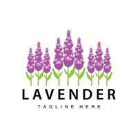 Lavender logo simple design cosmetic plant purple color and aromatherapy lavender flower garden template vector