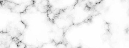 White marble texture background vector