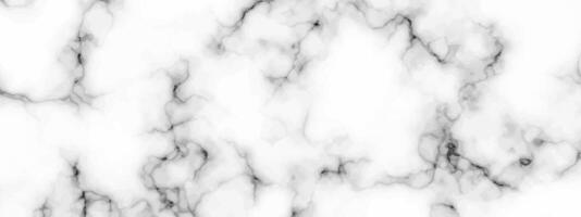 White marble texture background vector