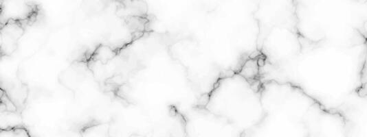 White marble texture background vector