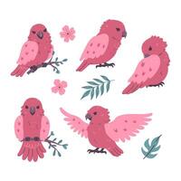 Set of cute pink parrots isolated on white background. graphics. vector