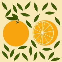 orange whole and cut with leaves on a colored background vector