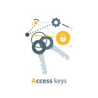 Access keys,Success secret key discovery,leadership key success concept vector