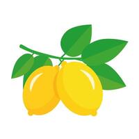 Lemon. Isolated fruit on white background. illustration vector