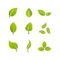 Leaves icon set isolated on white background. Different forms of green leaves of trees and plants. illustration vector