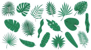 Set of tropical and palm leaves. Silhouettes green branches, leaves in minimalist flat style. Hand drawn illustration. Exotic design with leaves on white background. vector