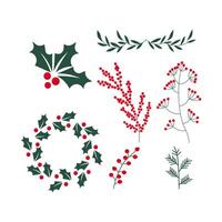 Christmas decorations. Holly, spruce, red berries, Christmas bauble. vector