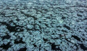 Ice surface of the river. Texture of ice shards and water. Winter background photo