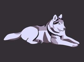 Husky dog isolated illustration. vector