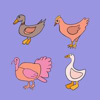 Set of poultry. Domestic fowl. vector