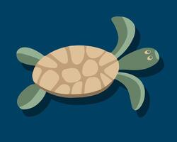 Illustration of a turtle. vector