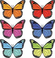 Drawing of multi-colored butterflies on a white background vector