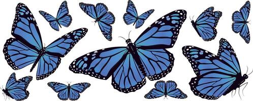 un azul mariposa con negro lugares en eso con un blanco antecedentes vector