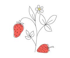 Strawberry plant. Abstract drawings of berries. Strawberry, doodle drawing, black and white sketch, hand drawn. natural template for sticker, logo, diet concept, farmers market. Line icons. vector