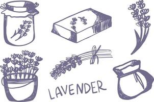 Lavender flowers set of isolated icons with bunches and pots and soap vector