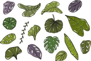 Tropical leaves collection. isolated elements on the white background. vector