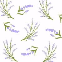 Lavender pattern with purple flowers and leaf. Seamless floral background vector