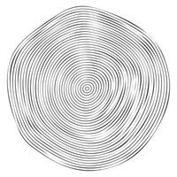 Wooden topography circles. Wood organic slice line design. Line ripple circle wood texture. Tree cut vector