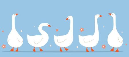 Set of waterfowl. Abstract white geese, cute poultry. vector