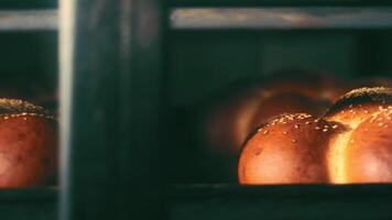 gouden broodjes vers van de oven, detailopname van vers gebakken, gouden broodjes bekroond met sesam zaden binnen een oven. video