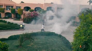 Hurgara, Egipto, octubre, 2021. exterminio de mosquitos por medio de fumar. un empleado de un hotel en Hurghada usos un fumar máquina a tratar insecto arbustos con un químico solución video