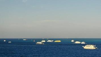 klein Tourist Yachten Segeln im das rot Meer in der Nähe von das Stadt von Hurghada. oben von das Rahmen zum Kopieren Raum Text video