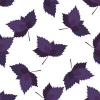Fresco hierbas y especias condimentos sin costura modelo. púrpura albahaca hojas. diseño de embalaje, fondo, póster, volantes. plano ilustración. vector