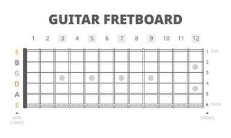 Guitar fretboard chart illustration. Guitar neck map with frets and six strings from the thickest to the thinnest. Guitar chart for beginners to learn about fretboard and strings on the guitar vector