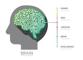 circuit brain concept infograph technology template, presentation infographics. vector