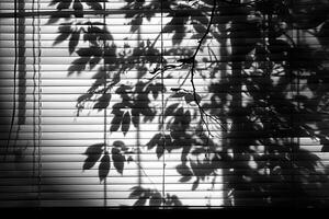 window blinds shadow with trees shadow design element photo