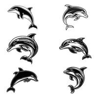 set of black and white dolphin designs vector