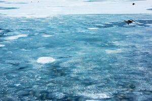 hielo superficie de el río. textura de hielo fragmentos y agua. invierno antecedentes foto