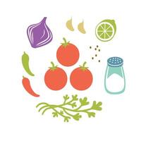 Fresh raw ingredients for salsa or pico de gallo. Round color flat illustration isolated on white. vector