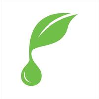 leaf with water drop logo isolated. design template. vector