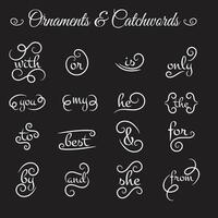 Super big collection of hand drawn text dividers. calligraphic lines, vintage borders and wedding laurels. Vecto isolated flourish ink elements. vector