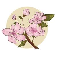 Pink Cherry Blossom Flower Illustration vector
