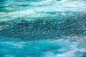 hielo superficie de el río. textura de hielo fragmentos y agua. invierno antecedentes foto