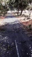 un' panoramico strada avvolgimento attraverso un' foreste paesaggio video